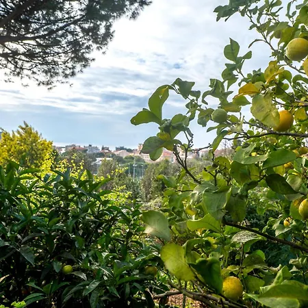 070 - Olanda Con Veranda Vista Mare A 5 Minuti Con Piscina Condominiale * Sestri Levante
