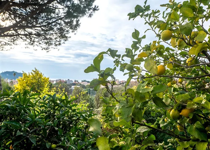 شقة 070 - Olanda Con Veranda Vista Mare A 5 Minuti Con Piscina Condominiale