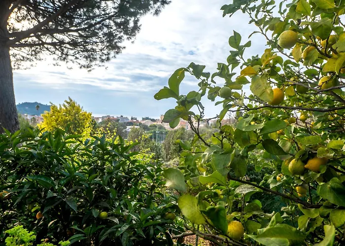 070 - Olanda Con Veranda Vista Mare A 5 Minuti Con Piscina Condominiale * سيستري ليفانتي